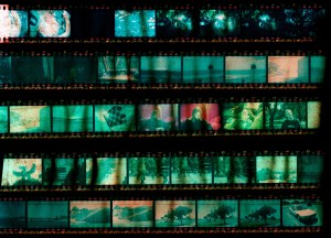 456852642_ded5531a3b_b